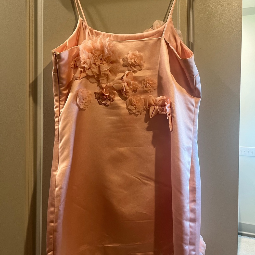 Love Shack Fancy Satin Mensa Mini Dress Size 6 Rose Appliqués - Picture 4 of 11